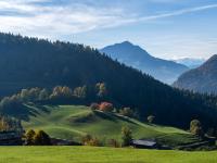 Baumreihe im Gegenlicht vor Kitzbüheler Horn und Hohe Tauern dahinter